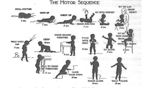 Graphic of motor sequence development showing silhouettes of babies moving from positions in infancy through toddlerhood